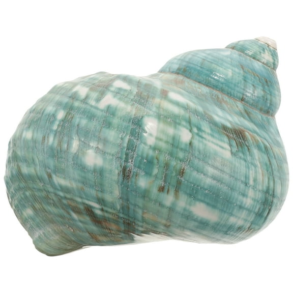 DINHEAROM Dark Green Conch Shell for Aquarium Owners 1Pcs