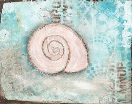 Seashell II Canvas Art - Cassandra Cushman (22 x 28)