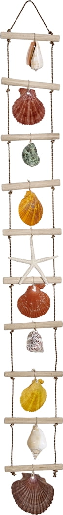Seashell Ladder Strand 4x31