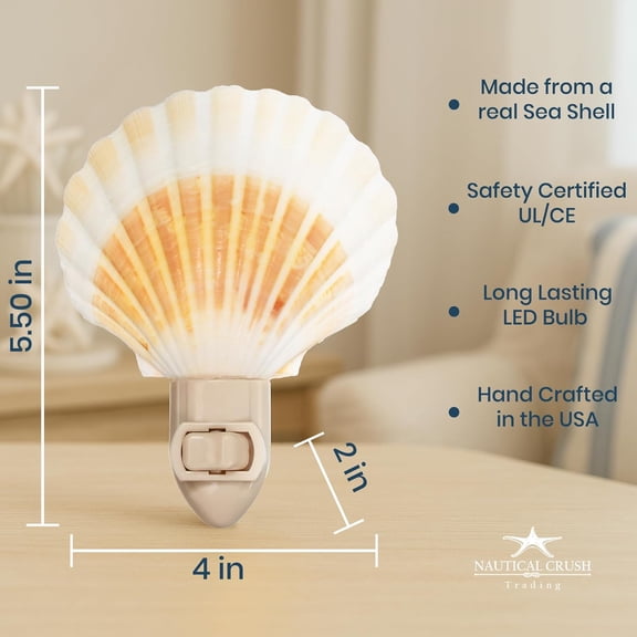Seashell Night Light  Beach Night Light with Natural Clam Shell Light for Bathroom  Sea Shell Lamp  Seashell Lamp Plug Into Wall