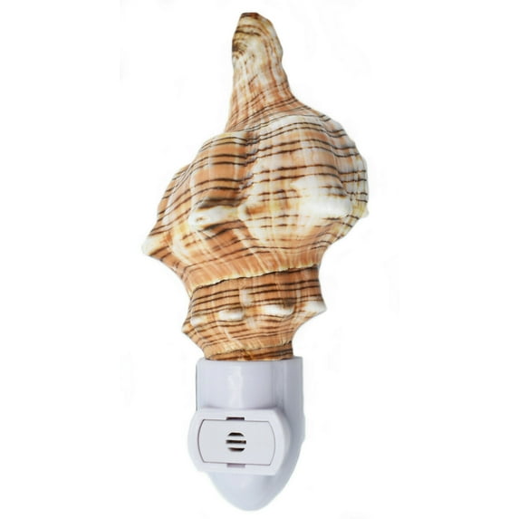 Seashell Night Light Real Fox Conch Beach Decor w. Auto Light Sensor Beautiful Coastal Cottage