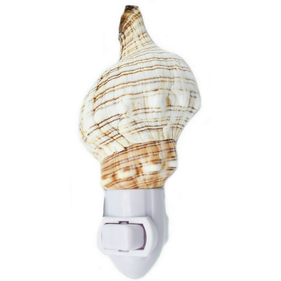 Seashell Night Light Real Fox Conch Beach Decor w. on/off switch Beautiful Coastal Cottage
