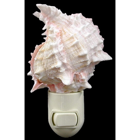 Seashell Night Light Real Pink Murex Shell Beach Decor w. on/Off Switch Beautiful Coastal Cottage