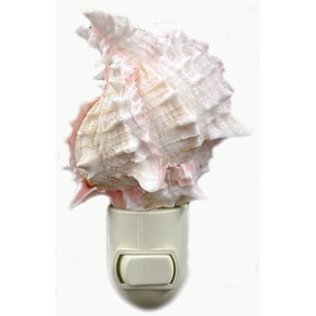 Seashell Night Light Real Pink Murex Shell Beach Decor w. on/off switch Beautiful Coastal Cottage