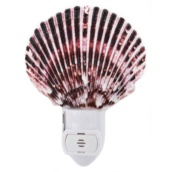 Seashell Night Light Real Purple Pecten Shell Beach Decor w. Light Sensor Beautiful Coastal Cottage