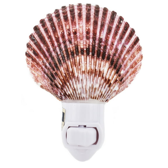 Seashell Night Light Real Purple Pecten Shell Beach Decor w. On/Off Switch Beautiful Coastal Cottage