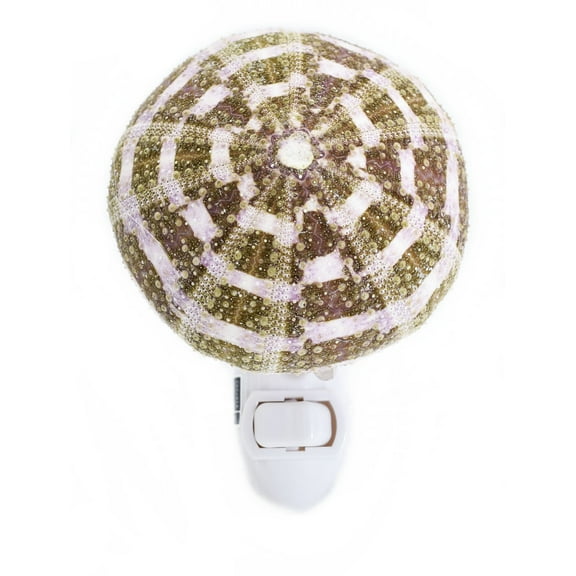Seashell Night Light Real Sea Urchin Beach Decor w. On/Off Switch Beautiful Coastal Cottage