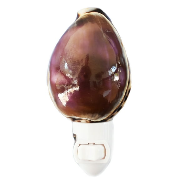 Seashell Night Light w. Purple Top Tiger Cowrie 4"