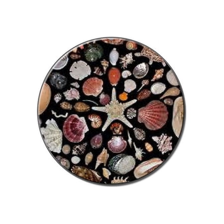 Seashell Pattern On Black Lapel Hat Pin Tie Tack Small Round