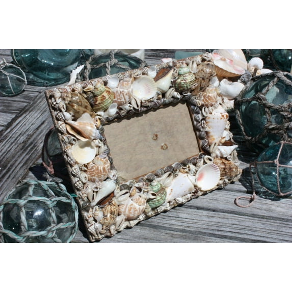 Seashell Photo Frame Brown Edge Designer 2" 3/4 X 5" | #ana24035