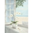 thumbnail image 1 of Seashell Poster Print by Linda Moore, 1 of 2