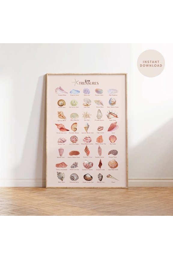 Seashell Print, Seashell Collection With Names, Seashell Wall Art, Education Infographic Poster UNFRAMED PAPER POSTER