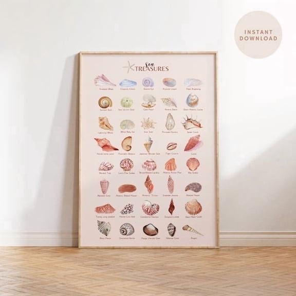 Seashell Print Seashell Collection With Names Seashell Wall Art Education Infographic Poster Wall Art Print