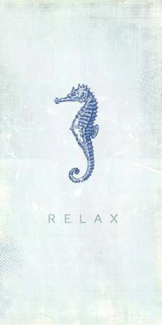 Seashell Relax Canvas Art - Dallas Drotz (24 x 48)