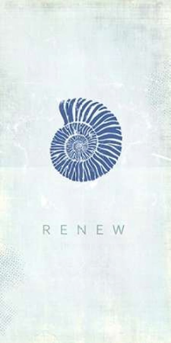Seashell Renew Canvas Art - Dallas Drotz (24 x 48)