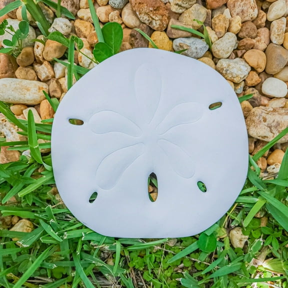 Seashell Sand Dollar 6" IN STOCK Ceramic Bisque Ready To Paint Pottery