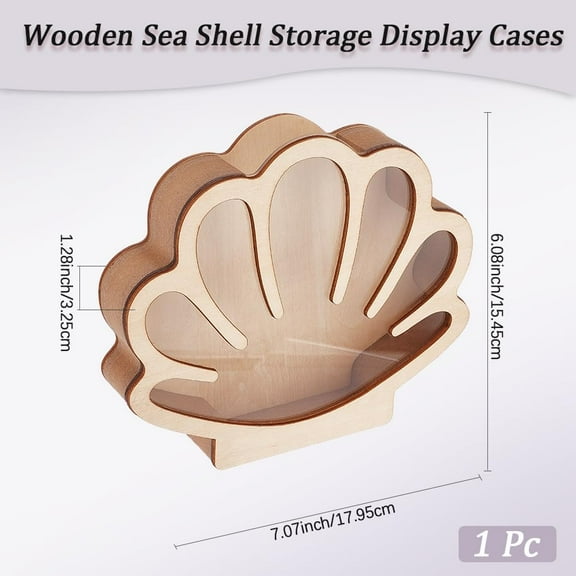 Seashell Wooden Display Box Sea Shell Holder Display Cases with Acrylic Window Home Decoration Sea Glass Shark Tooth Memory Keepsake Box for Agates Collection Room Coastal Decor 18 x 15.5cm