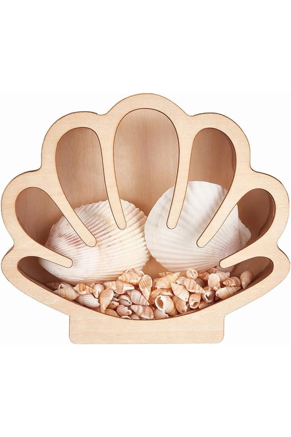 Seashell Wooden Display Box Sea Shell Holder Display Cases with Acrylic Window Home Decoration Sea Glass Tooth Memory Keepsake Box for Agates Collection Room Coastal Decor 18 x 15.5cm