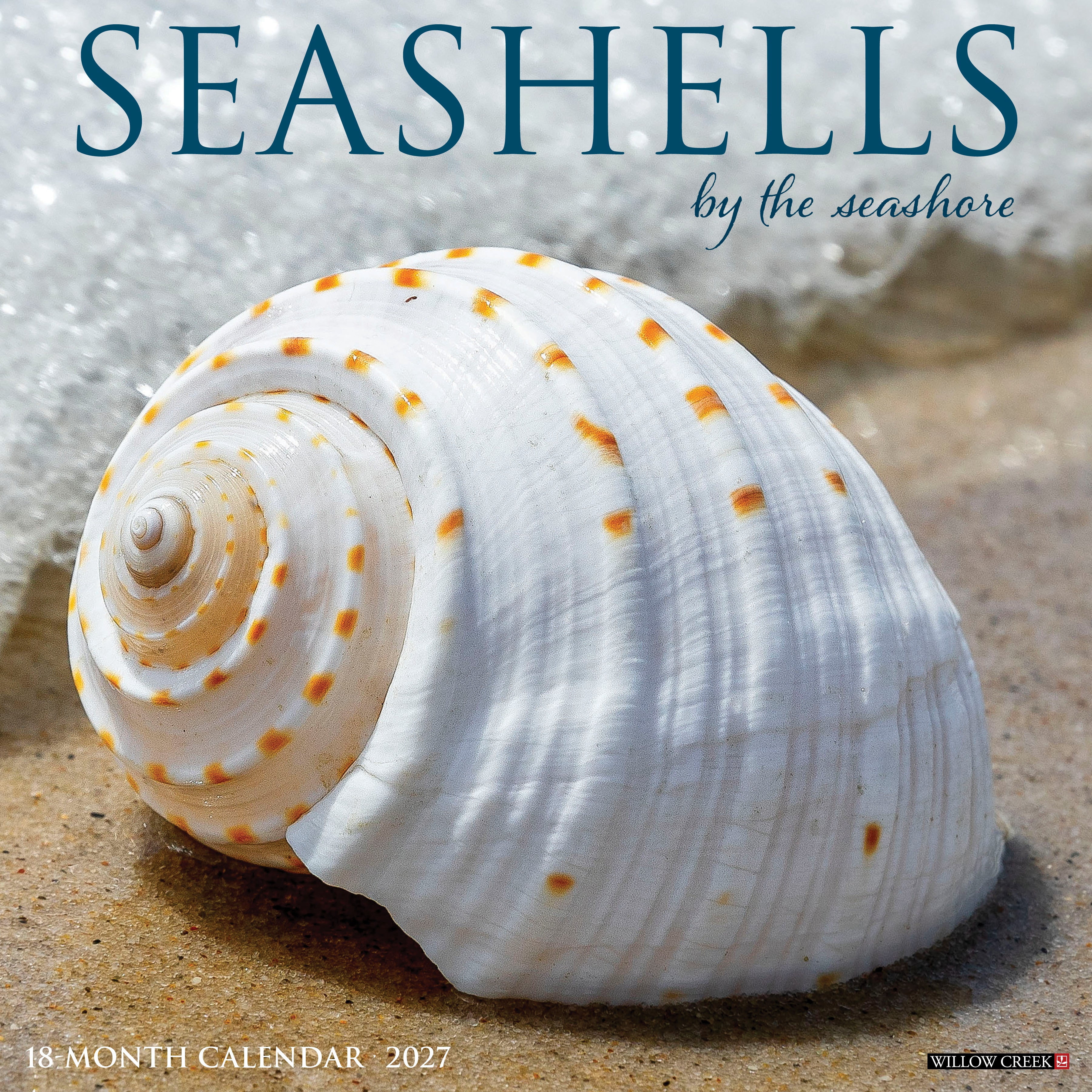 Willow Creek Press, Seashells 2027 Wall Calendar