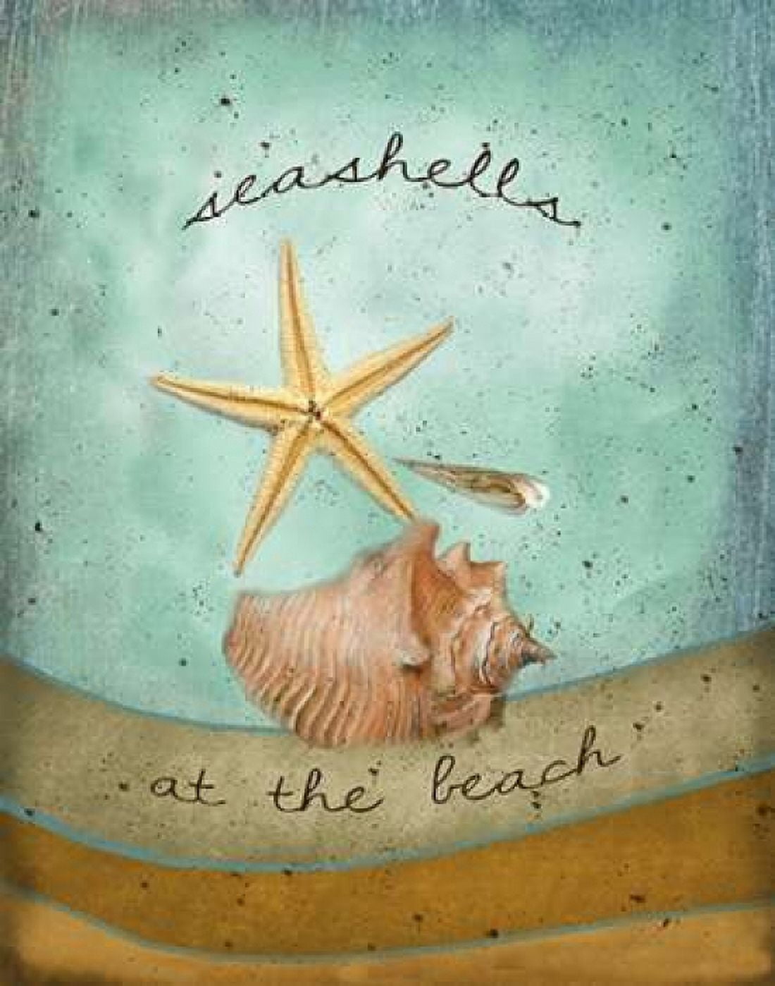 Seashells Canvas Art - Beth Albert (22 x 28)