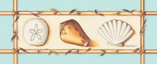 Seashells Canvas Art - Kathy Middlebrook (24 x 48)