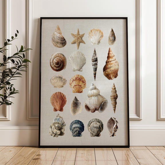 Seashells Collection Coastal Nautical Poster Unframed Paper Print