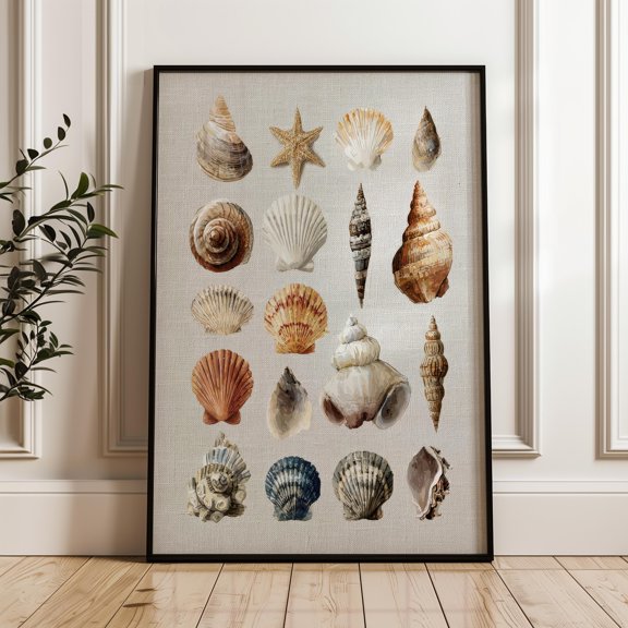 Seashells Collection, Coastal Wall Art Print, Nautical Poster, Poster Only