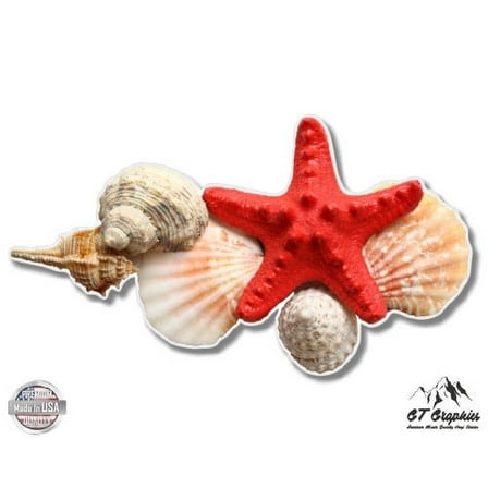 Seashells Collection Ocean Beach Theme - 3" Vinyl Sticker - For Car Laptop I-Pad Phone Helmet Hard Hat - Waterproof Decal