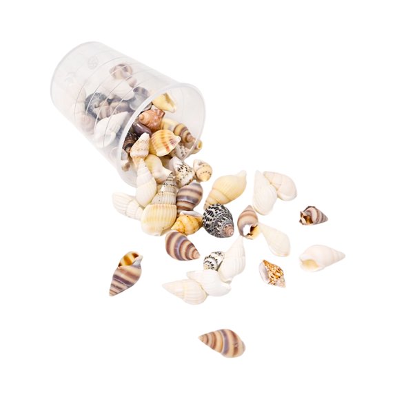 Seashells Craft Set Shell Craft Materials Suitable for Jewelry Making Accessories and Artistic Home Decors Designs