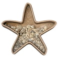 thumbnail image 1 of Seashells Holders Seashells Display Box for Teeth Starfishs Collection Small Shadows Box Beach Coastal Homes Decors, 1 of 8