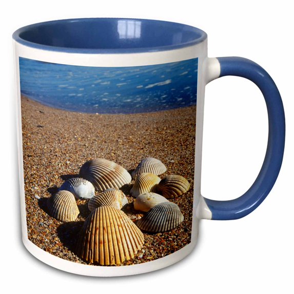 3drose, Seashells, Jacksonville, St. Johns River, Florida - Us10 Gjo0234 - Greg Johnston, 11oz Two-tone Blue Mug