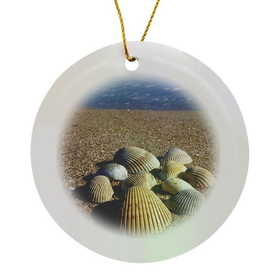 3drose, Seashells, Jacksonville, St. Johns River, Florida - Us10 Gjo0234 - Greg Johnston, Circle Porcelain Ornament