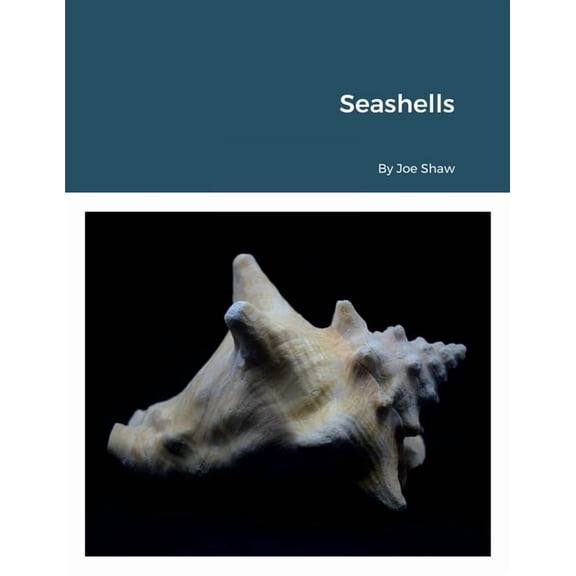 Seashells, (Paperback)