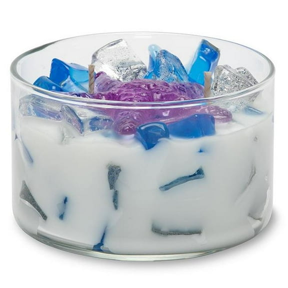 Seashells and Starfish 9.5 oz. Two Wick Color Bowl Candle