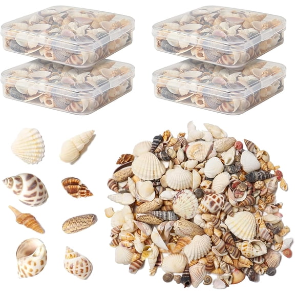 Seashells for Crafts Natural Mixed Seashells, 4 Pack Box,Small Shells for Crafts Mini Shells for Craft, Decoration, Vase Filler(550 pcs)