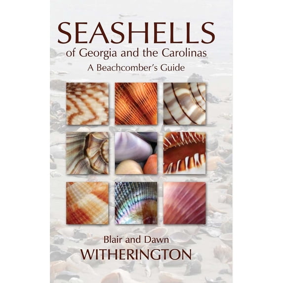 Seashells of Georgia and the Carolinas: A Beachcomber's Guide, (Paperback)