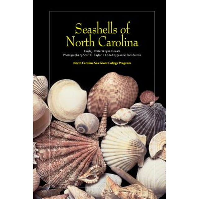 PreOwned Seashells of North Carolina (Paperback) by Hugh J Porter