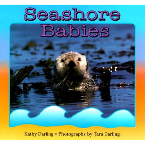 Pre-Owned Seashore Babies (Hardcover) 0802784763 9780802784766