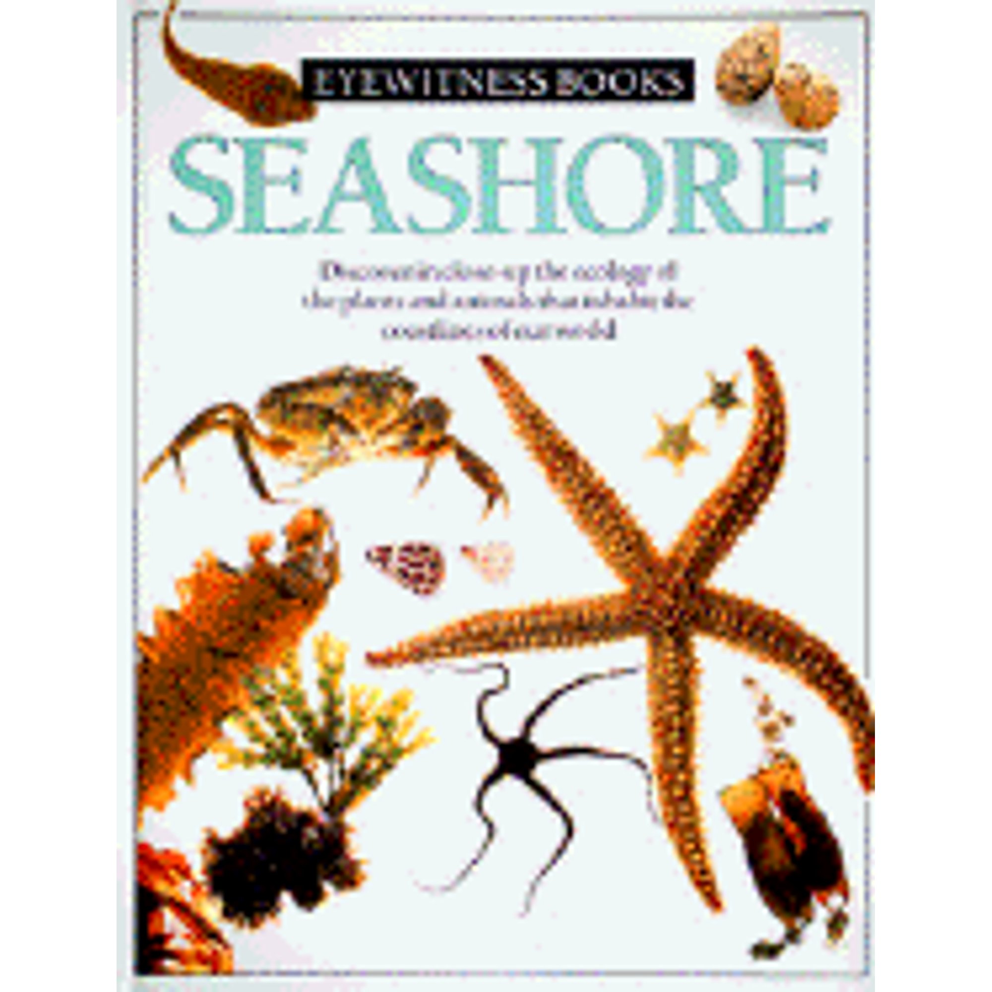 Seashore (Hardcover) by Steve Parker, Dorling Kindersley Publishing, Dave King - image 1 of 1