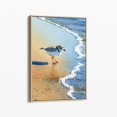 Plover Apps Seashore Piping Plover Wall Art, Coastal Bird Home Decor - Walmart.com