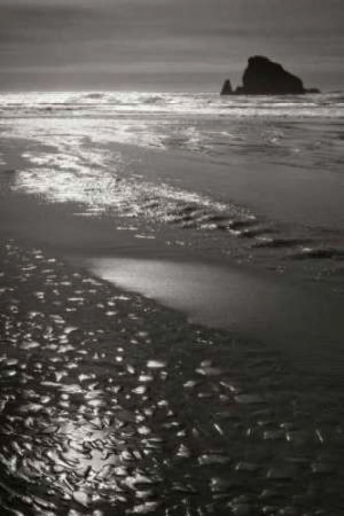 Seashore Serenity I BW Canvas Art - Vitaly Geyman (24 x 36)