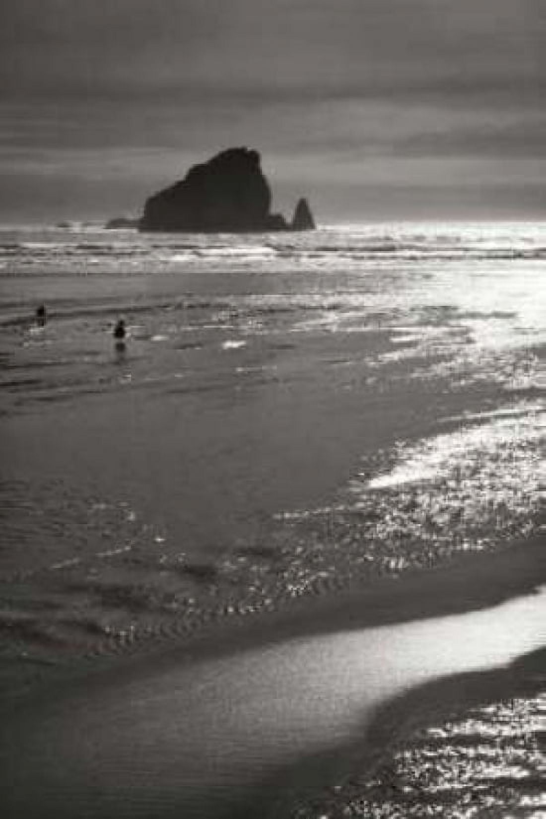 Seashore Serenity II BW Canvas Art - Vitaly Geyman (24 x 36)
