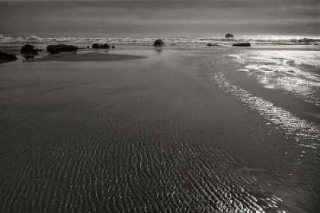 Seashore Serenity III BW Canvas Art - Vitaly Geyman (24 x 36)