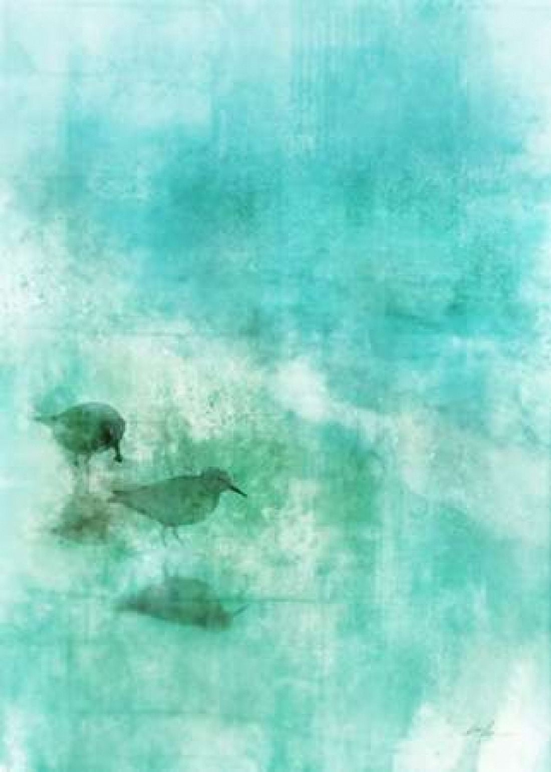 Seashore Stroll 1 Canvas Art - Ken Roko (20 x 28)