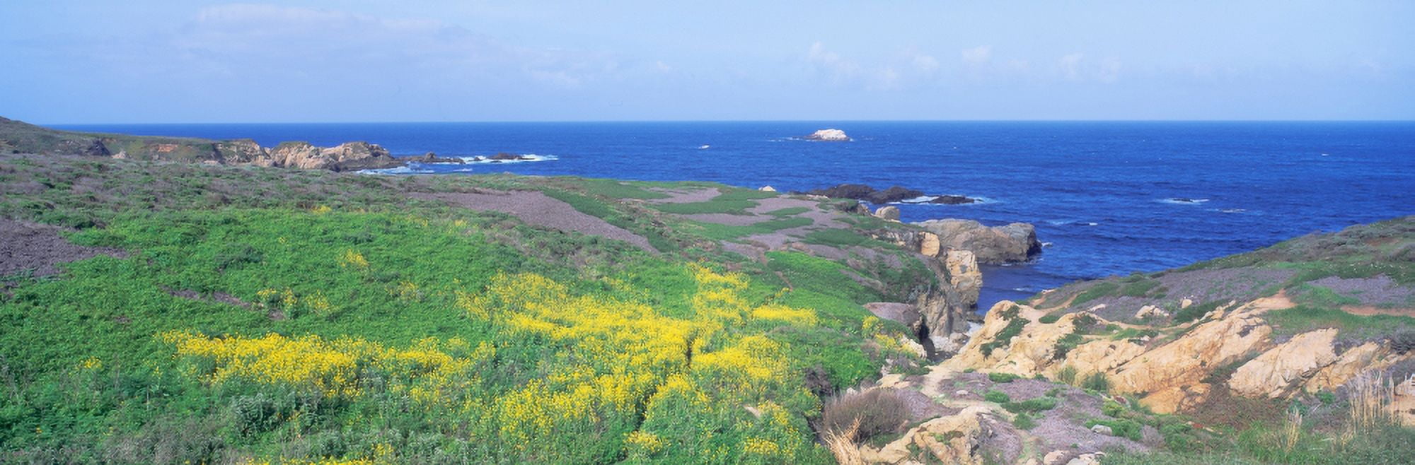 Seashore along Highway 1 in spring Northern California Canvas Art - Panoramic Images (27 x 9)