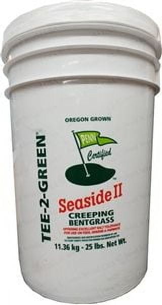 Seaside 2 Creeping Bent Grass Seed - 5 Lbs.