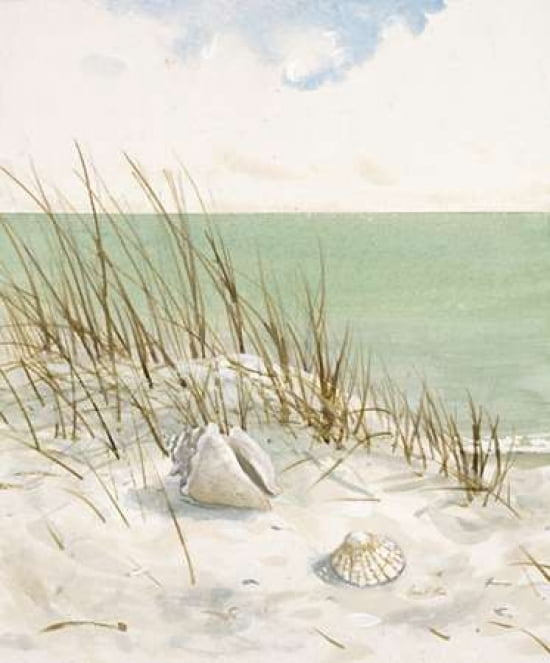 Seaside Bluff¬†Ôø? Canvas Art - Arnie FISK (20 x 24)