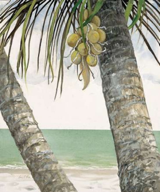 Seaside Coconuts Canvas Art - Arnie FISK (20 x 24)