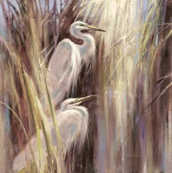 Seaside Egrets Canvas Art - Brent Heighton (24 x 24)