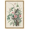 thumbnail image 1 of Seaside Finch Canvas Print Botanical Art by Art Remedy, Gold Frame, 36 x 54, 1 of 6